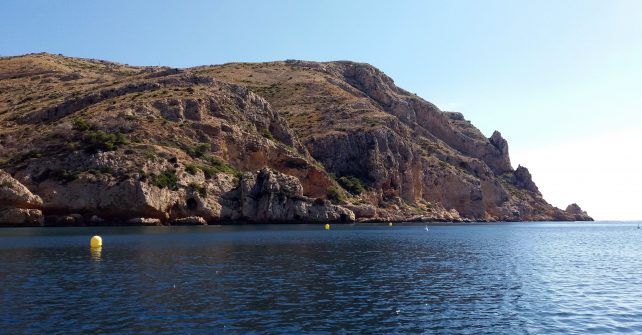 Reserva Marina del Cabo San. Antonio, respetemos nuestro entorno.