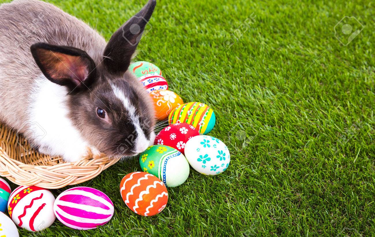 LA LEYENDA DEL CONEJO DE PASCUA. Pensión La Favorita Jávea